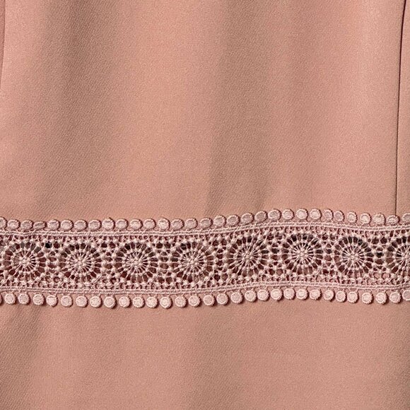 ZARA Blush Pink Lace Yoke Sleeveless Fit & Flare Dress | Medium - Picture 3 of 9